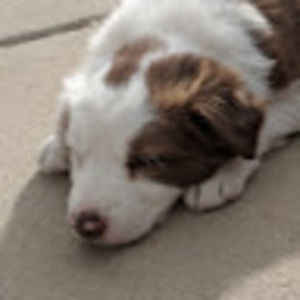 Meet your Posher, Marisabel